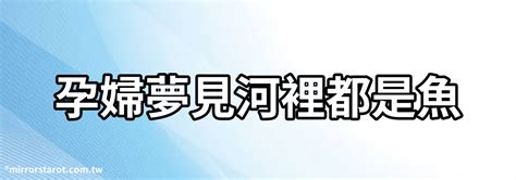 膨風水蛙意思|台語俗諺